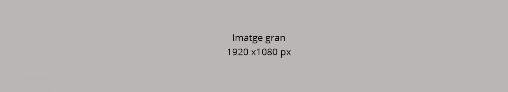 imatge_mig-1280x720_2 imatge_mig-1280x720_2