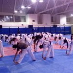 Centro Alto Rendimiento Taekwondo