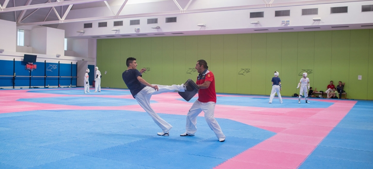 INSTALACIONES Taekwondo Centro de Alto Rendimiento Barcelona