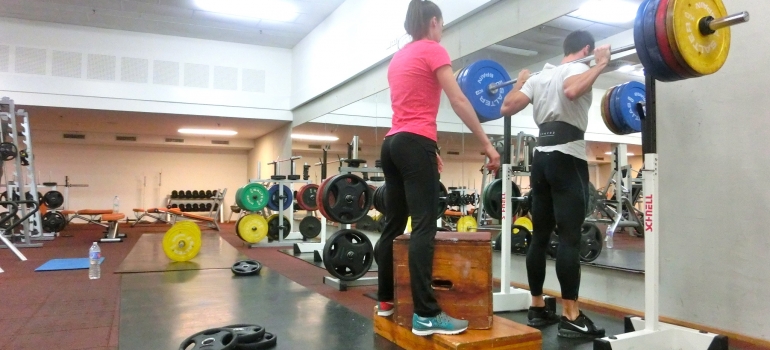 Gimnasio peso libre